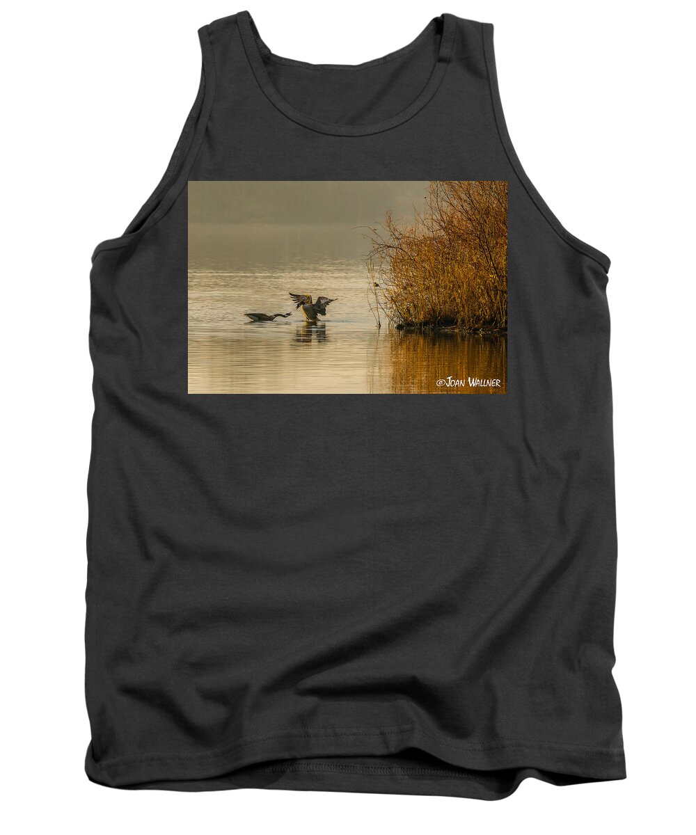 Mt Normandale Lake Tank Top featuring the photograph Canadian Geese in the Morning Sun by Joan Wallner