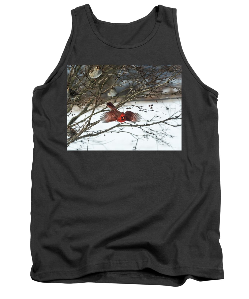 Jan Holden Tank Top featuring the photograph Cardinal in Flight by Holden The Moment