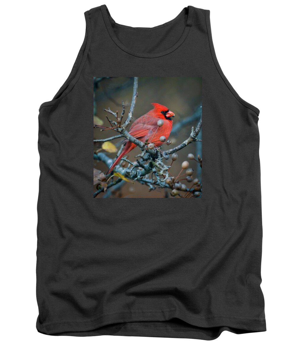Cardinal Tank Top featuring the photograph Cardinal In The Berries by Kerri Farley