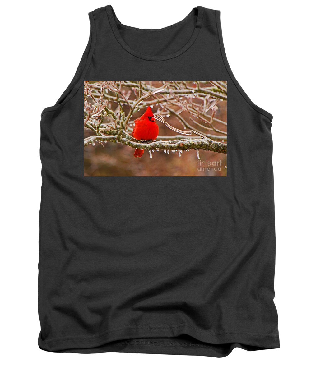 Avian Tank Top featuring the photograph Cardinal by Mary Carol Story