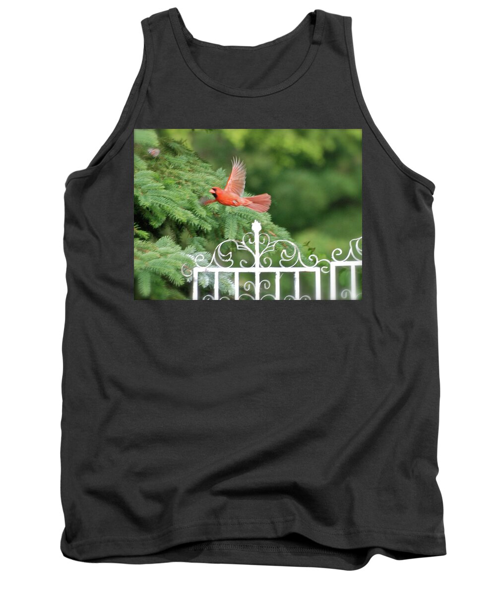Animals Tank Top featuring the photograph Cardinal Time To Soar by Thomas Woolworth