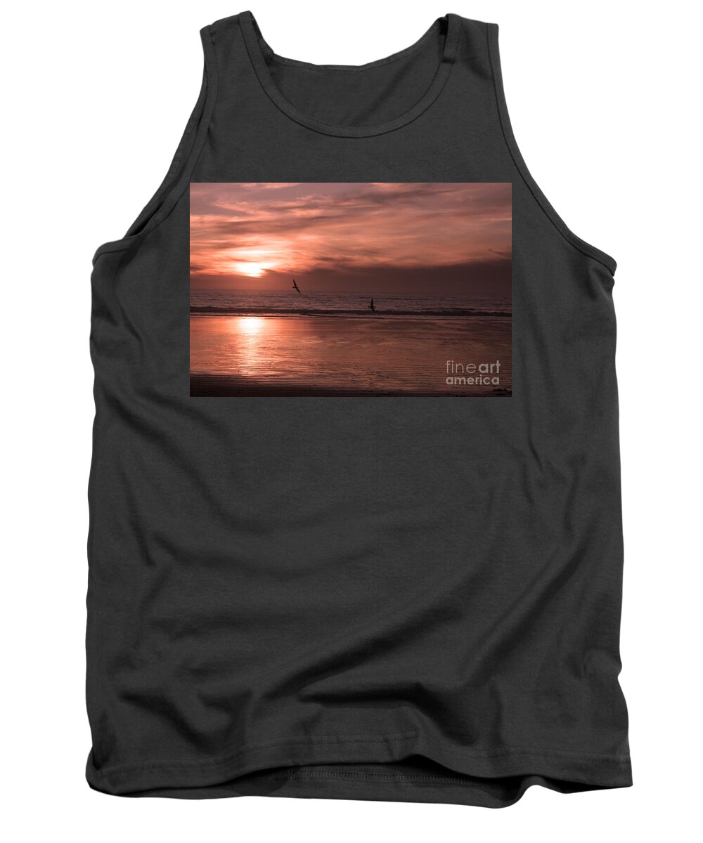 Background Sunset Tank Top featuring the photograph Cayucos Beach with Seagulls by Ian Donley