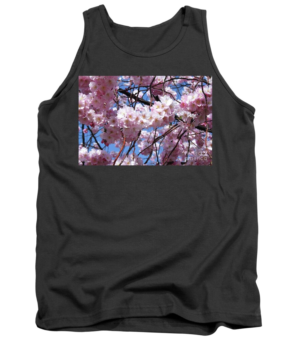Cherry Blossoms Tank Top featuring the photograph Cherry Blossom Trees of Branch Brook Park 3 by Allen Beatty