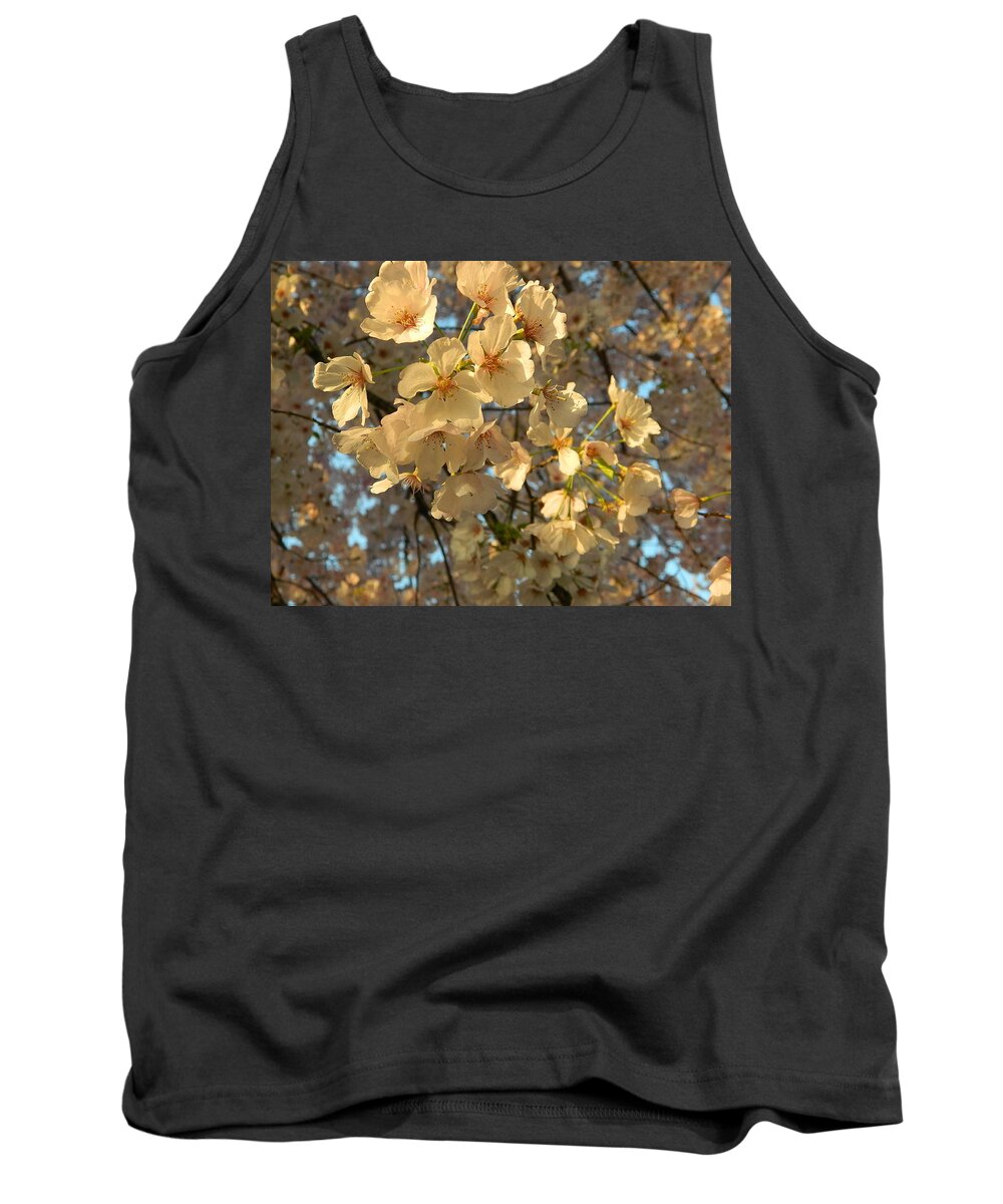 Cherry Blossoms Tank Top featuring the photograph Cherry Blossoms by Emmy Marie Vickers