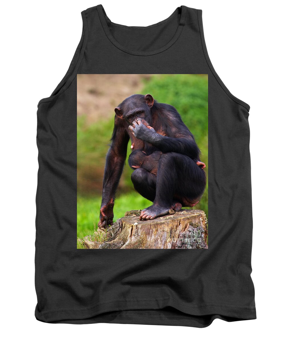 Chimpanzee Tank Top featuring the photograph Chimp with a baby on her belly by Nick Biemans