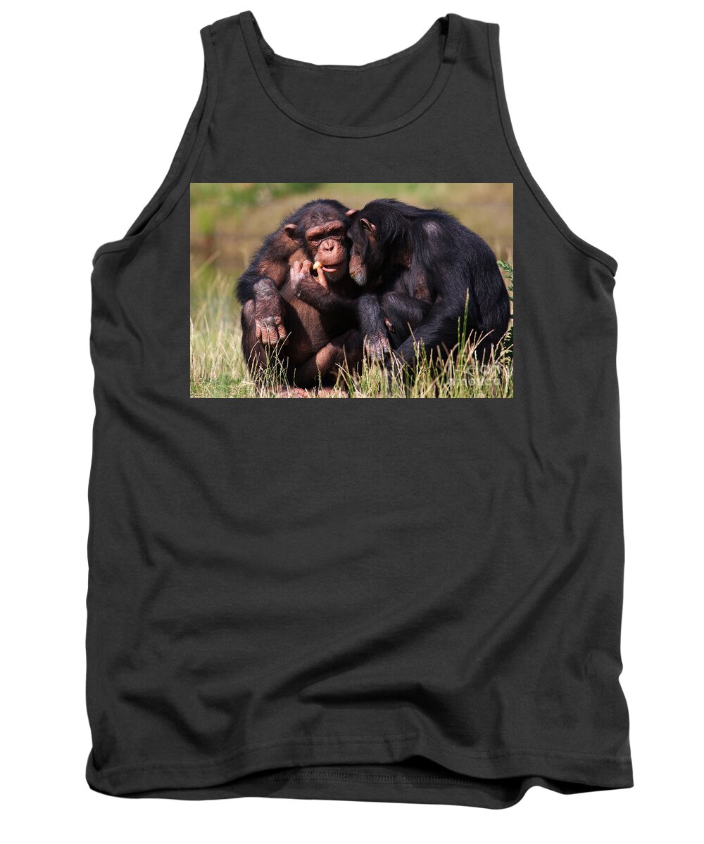 Friends Tank Top featuring the photograph Chimpanzees Eating A Carrot by Nick Biemans