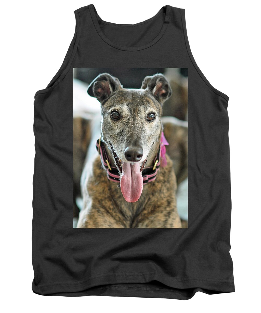 Animals Tank Top featuring the photograph Cobra by Lisa Phillips