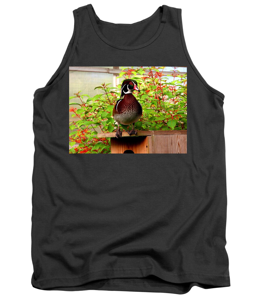 Duck Tank Top featuring the photograph Colorful Wood Duck by Jan Marvin
