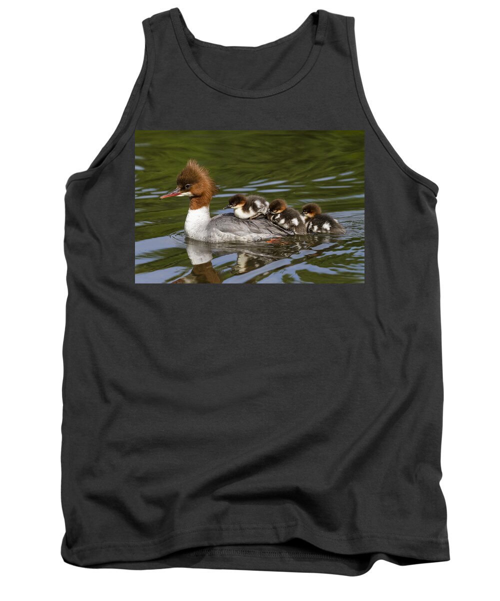 Feb0514 Tank Top featuring the photograph Common Merganser Mother Carrying Chicks by Konrad Wothe