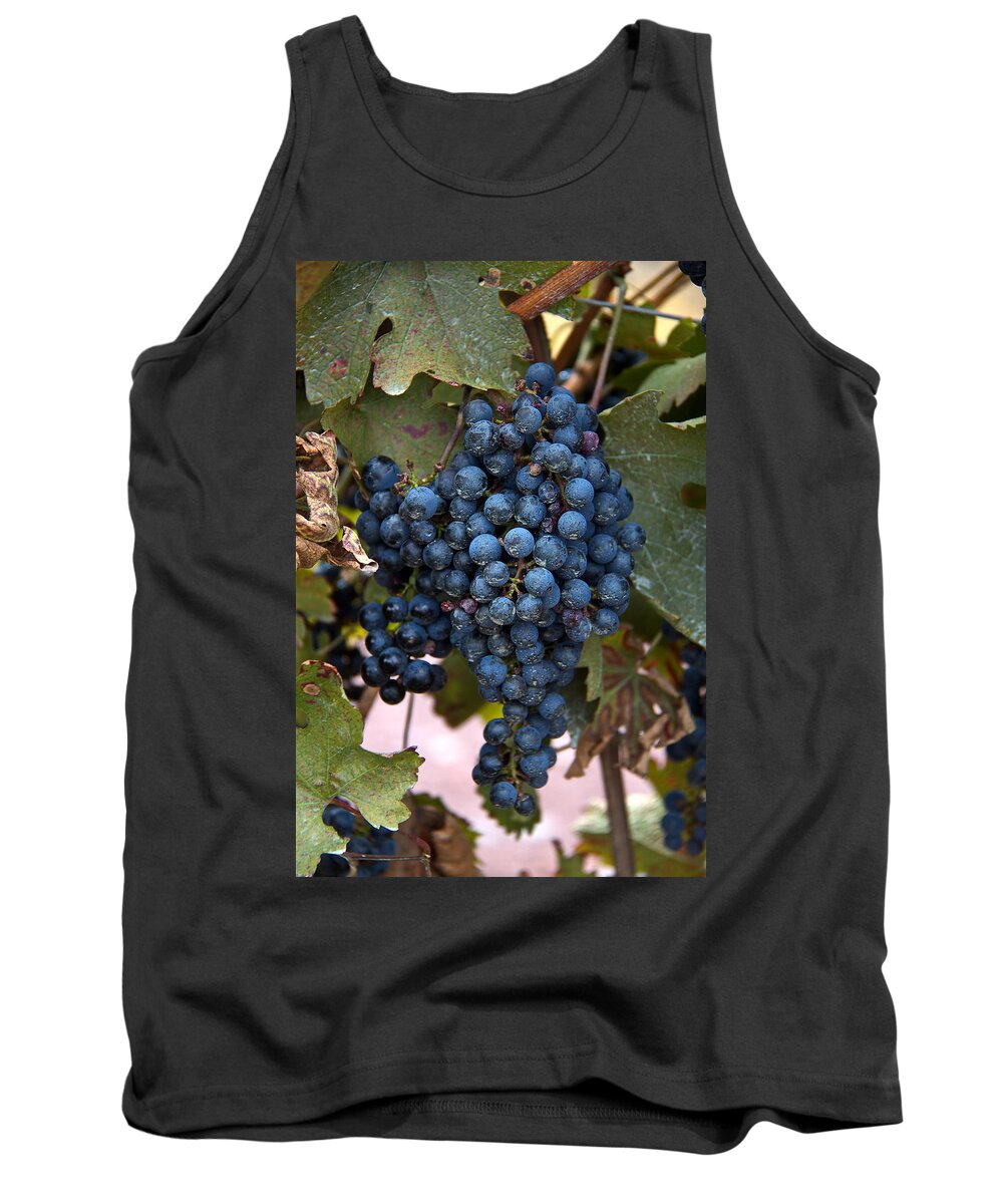 Grapes Tank Top featuring the digital art Concord Grapes by Leeon Photo