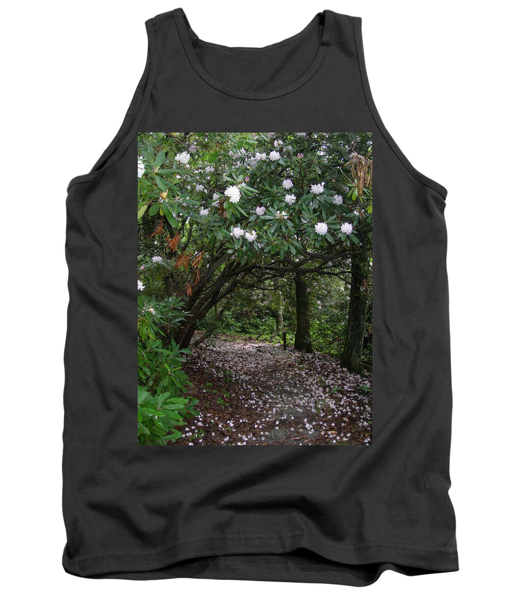 Cone Manor Tank Top featuring the photograph Cone Manor Trail by Deborah Ferree