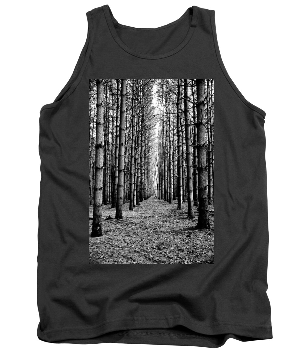 Coniferous Forest Tank Top featuring the photograph Coniferous Forest by Louis Dallara