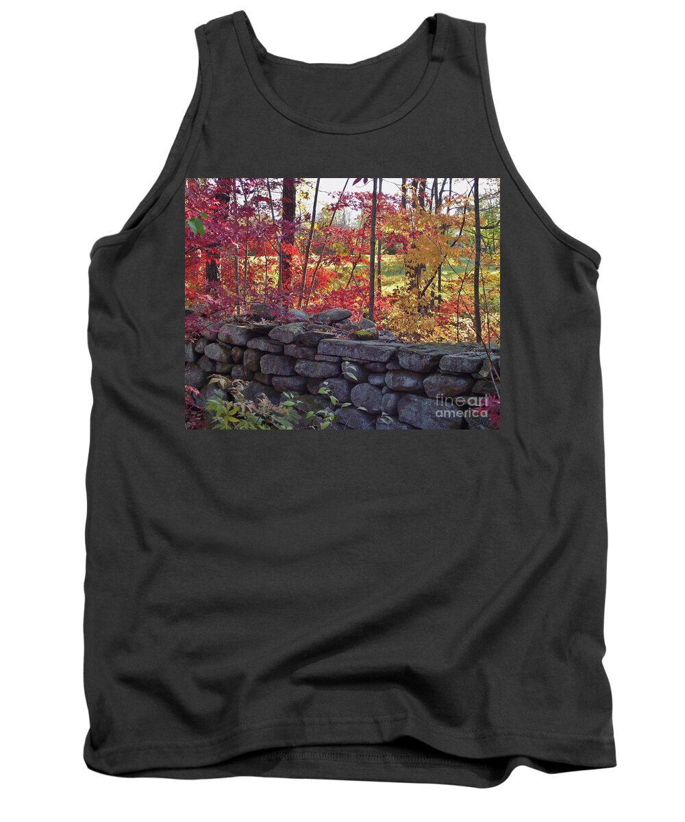 Landscape Tank Top featuring the photograph Connecticut Stone Walls by Michelle Welles