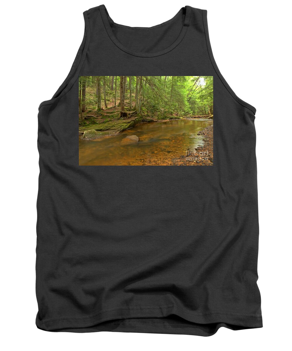 Toms Run Tank Top featuring the photograph Cook Forest Green Canopy by Adam Jewell