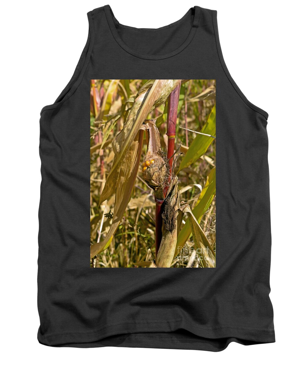 Country Tank Top featuring the photograph Corn field by PatriZio M Busnel
