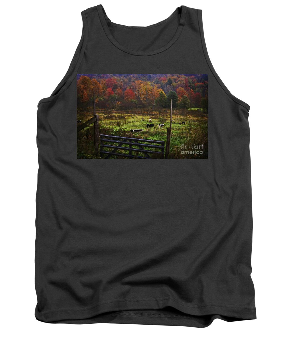 Cows Tank Top featuring the photograph Cow Pasture in Autumn by Debra Fedchin