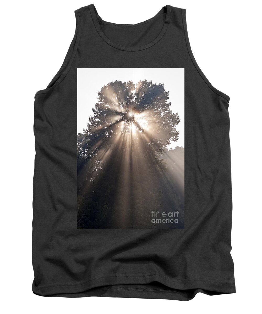 Snohomish Valley Tank Top featuring the photograph Crepuscular rays coming through tree in fog at sunrise by Jim Corwin