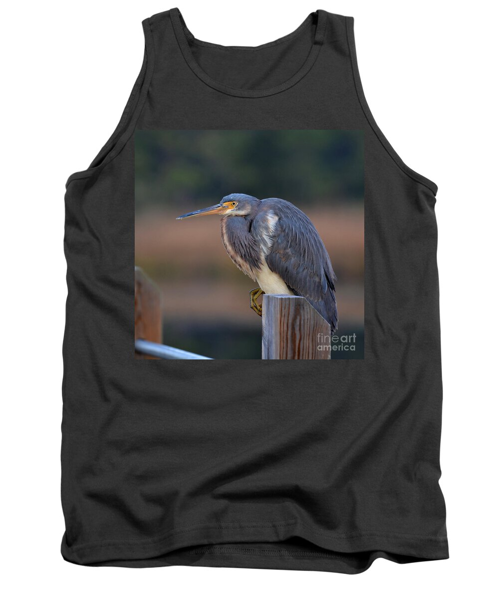 Birds Tank Top featuring the photograph Crouching Heron by Kathy Baccari