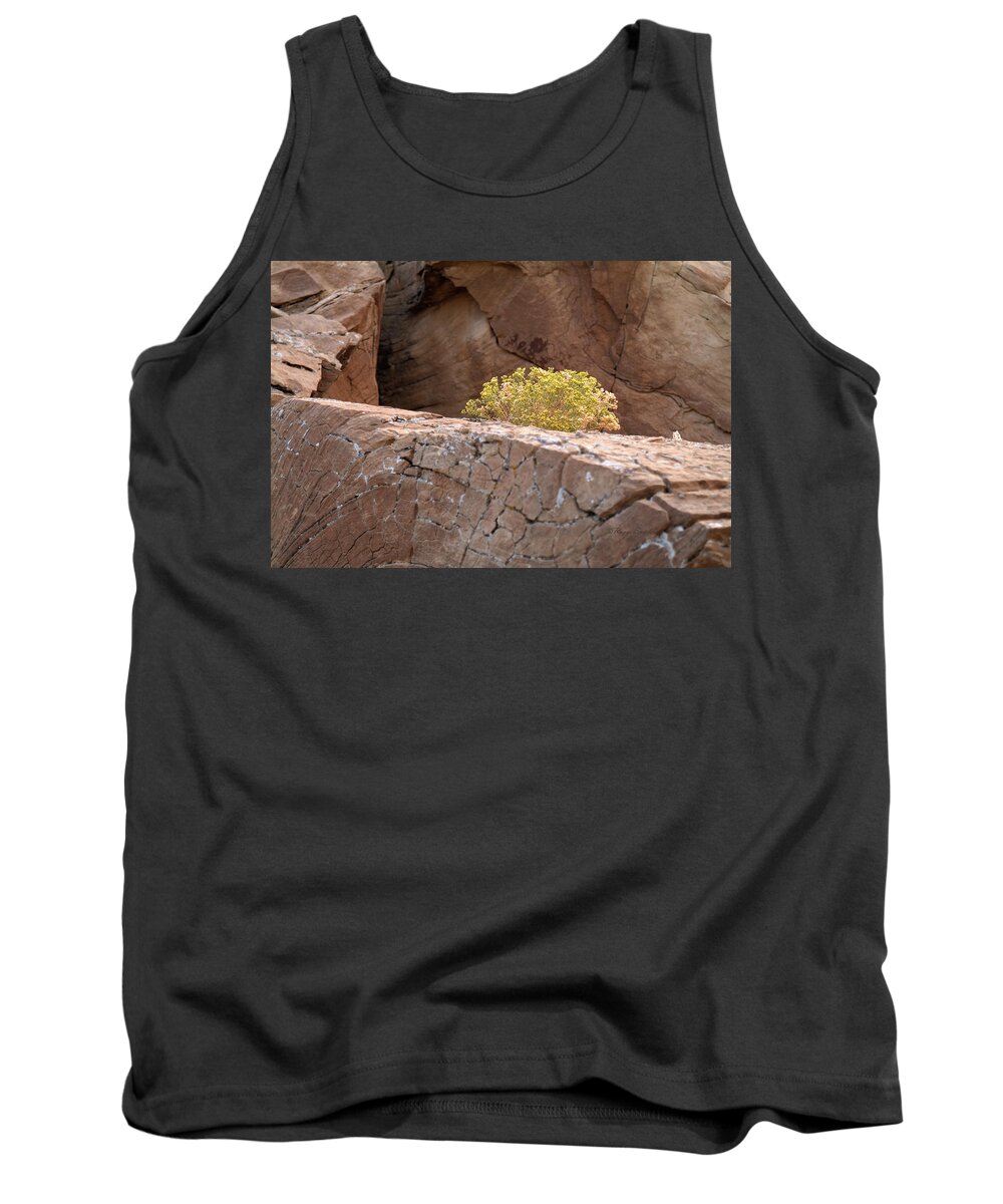 Beautiful Tank Top featuring the photograph Curved Rocks and Bush by Roger Snyder