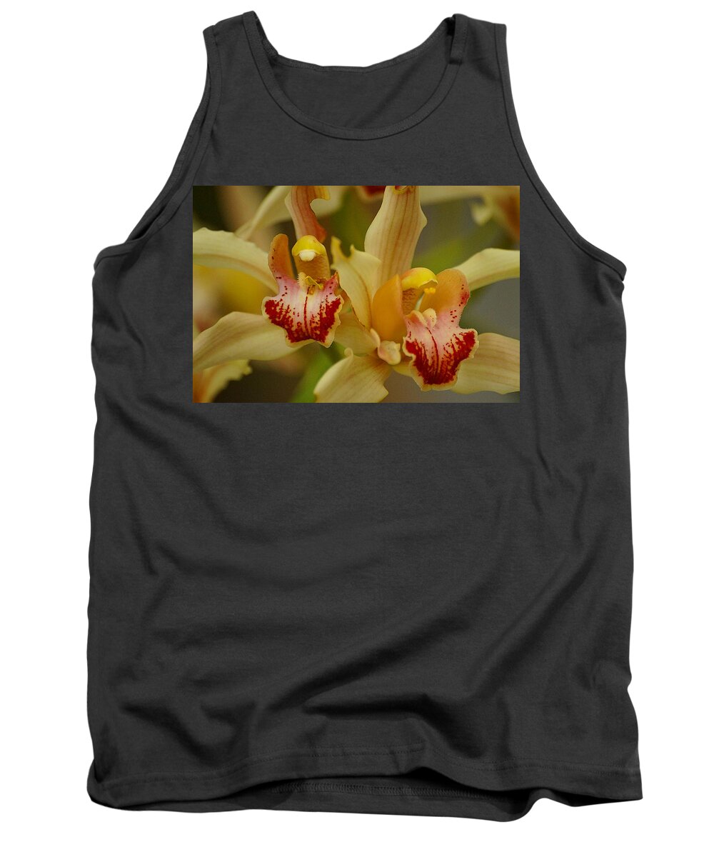 Orchid Tank Top featuring the photograph Cymbidium Twins by Blair Wainman