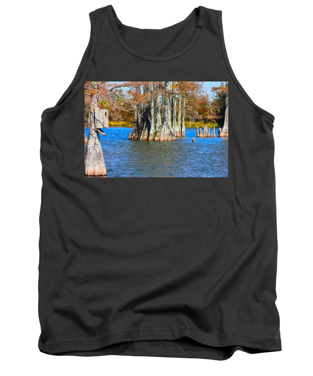 Water Tank Top featuring the photograph Cypress Birdhouse by Karen Wagner