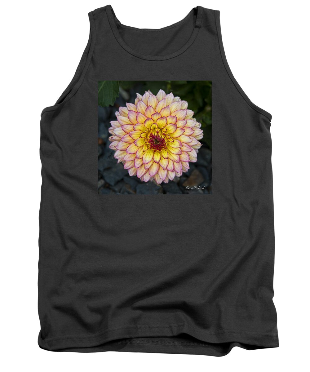 Canada Tank Top featuring the photograph Dahlia by Leon Roland