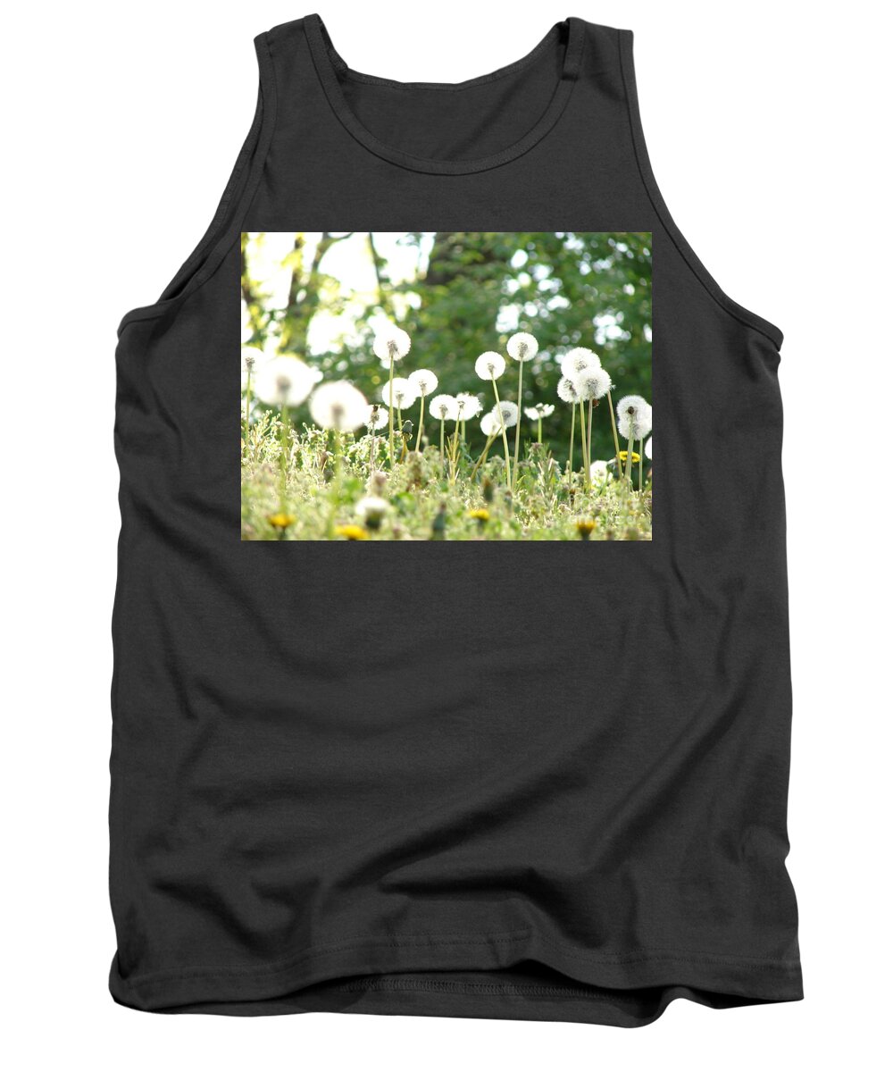 Dandelions Tank Top featuring the photograph Dandelions by Leara Nicole Morris-Clark