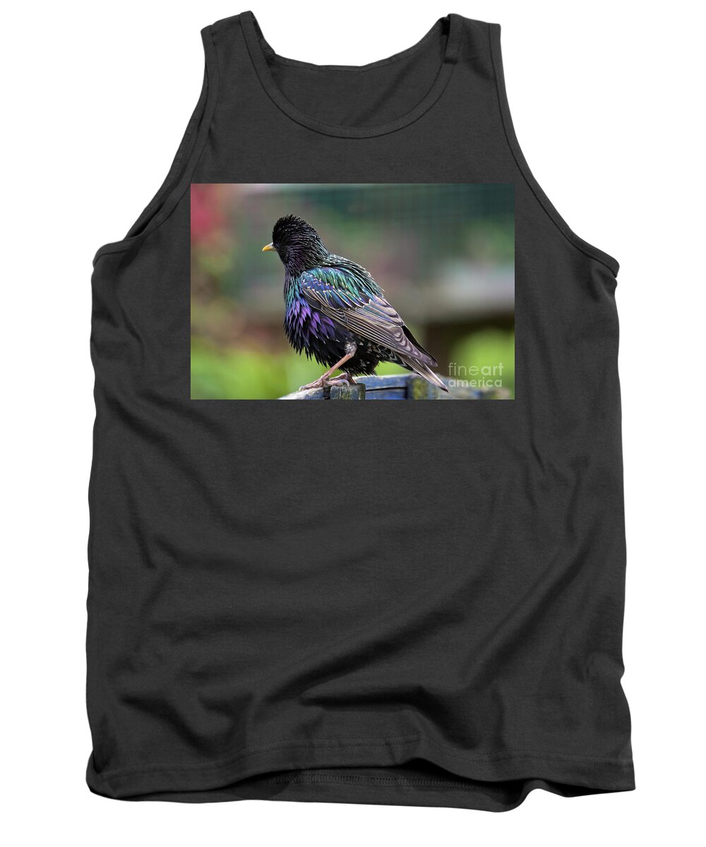 Starling Tank Top featuring the photograph Darling Starling by Terri Waters