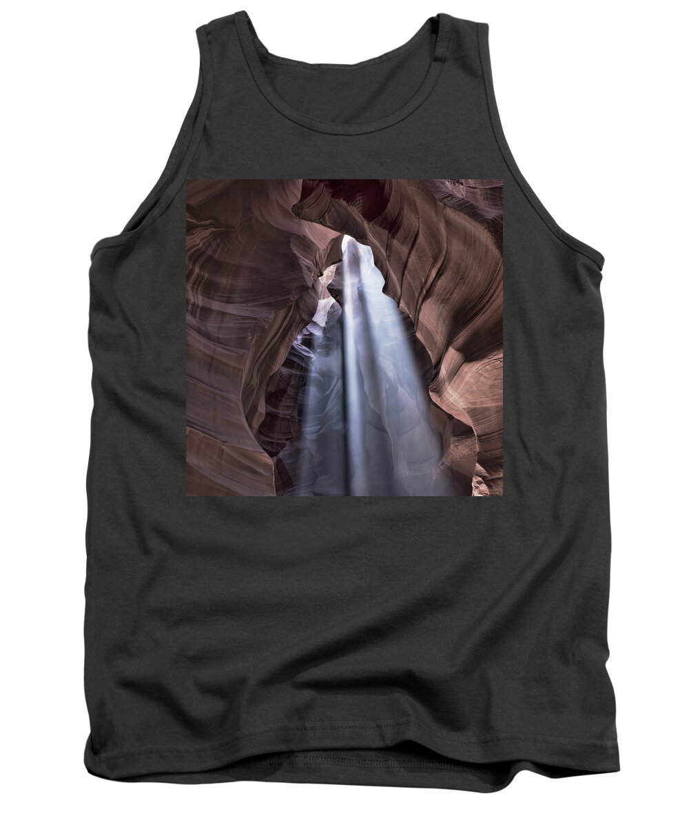 Evie Tank Top featuring the photograph Death by Chocolate Antelope by Evie Carrier