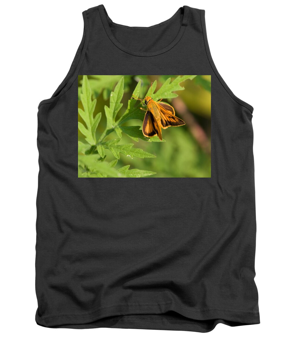 Delaware Skipper Tank Top featuring the photograph Delaware Skipper on Ragweed by Melinda Fawver