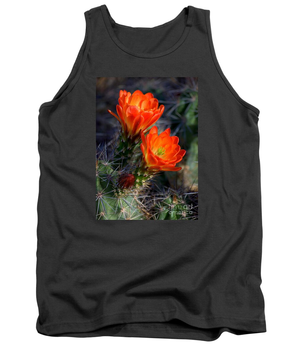 Southwestern Tank Top featuring the photograph Desert Color by K D Graves