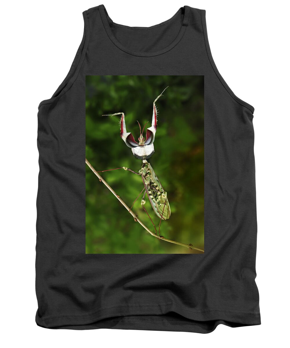 Thomas Marent Tank Top featuring the photograph Devils Praying Mantis In Defensive by Thomas Marent