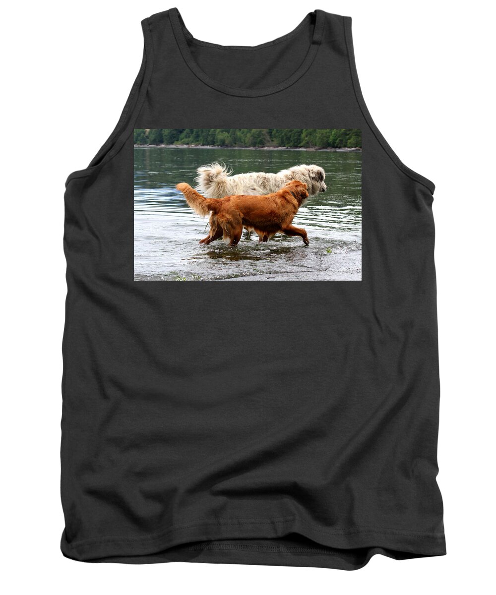 Dogs Tank Top featuring the photograph Dogs At Play - Best Friends by Marie Jamieson