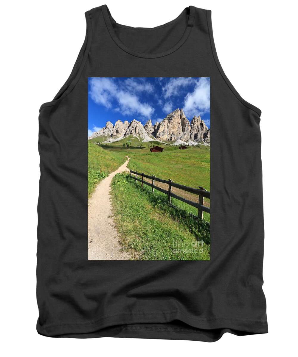 Alto Adige Tank Top featuring the photograph Dolomiti - Cir group by Antonio Scarpi