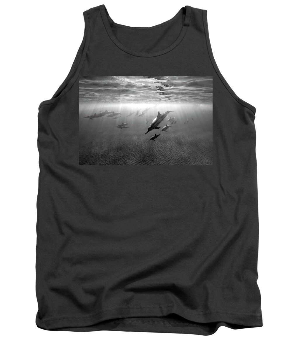 Group Tank Top featuring the photograph Dolphins at dawn by Artesub