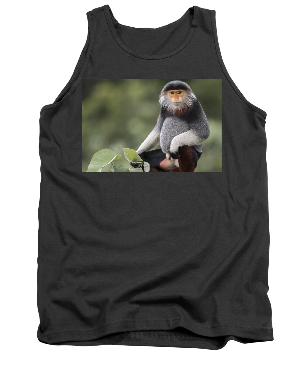 Cyril Ruoso Tank Top featuring the photograph Douc Langur Male Vietnam by Cyril Ruoso