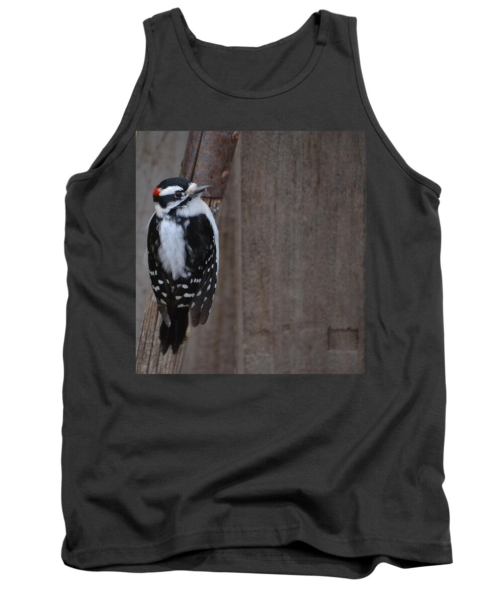 Downy Woodpecker- On A Shovel Handle And Wood Backdrop ~.limited Edition 2 Of 10(art-photography Images By Rae Ann M. Garrett- Raeann Garrett)- Woodpeckers- Small Birds- Black And White Spotted Woodpeckers- Tank Top featuring the photograph Downy Portrait- limited edition  2 of 10 by Rae Ann M Garrett