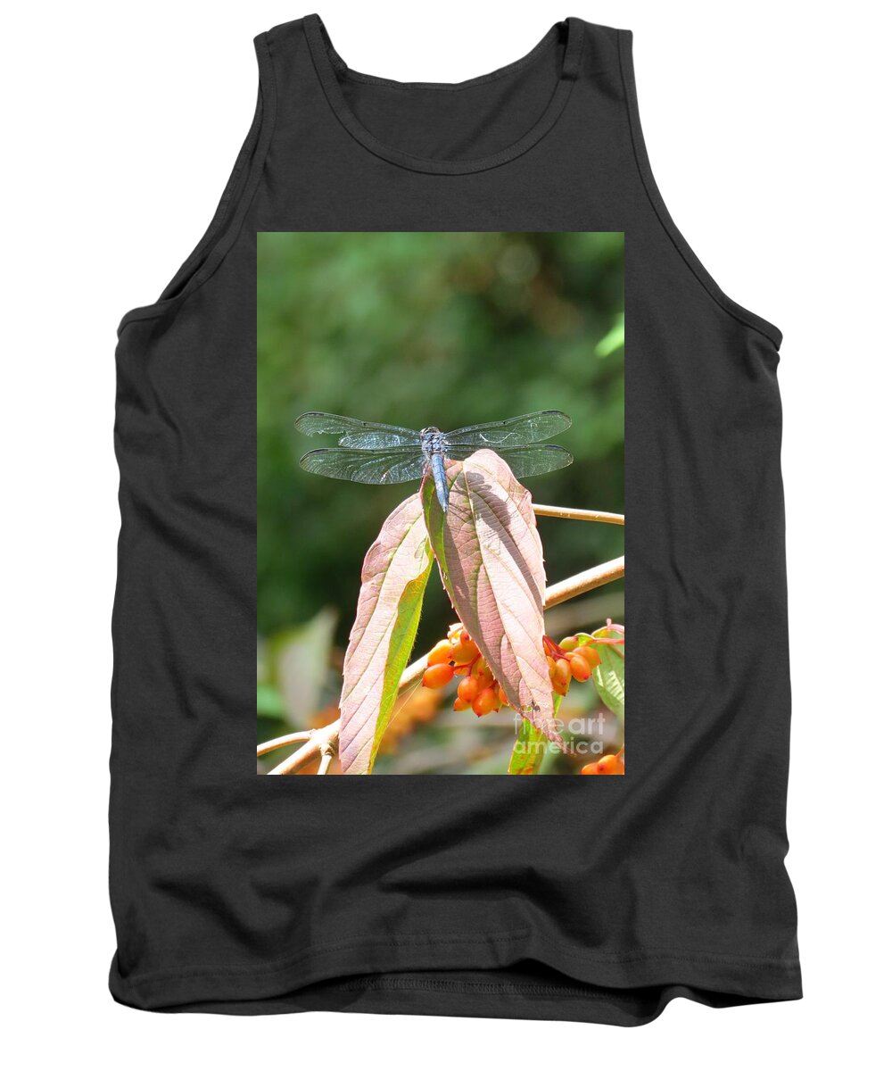 Dragonfly Tank Top featuring the photograph Dragonfly in Early Autumn by Anita Adams