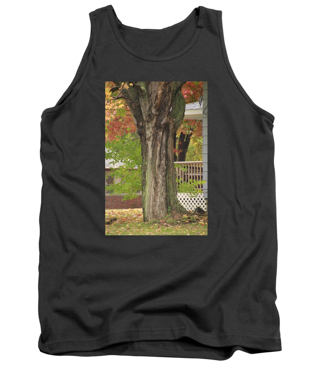 Fall Tank Top featuring the photograph Old Maple Tree Dressed for Fall by Valerie Collins