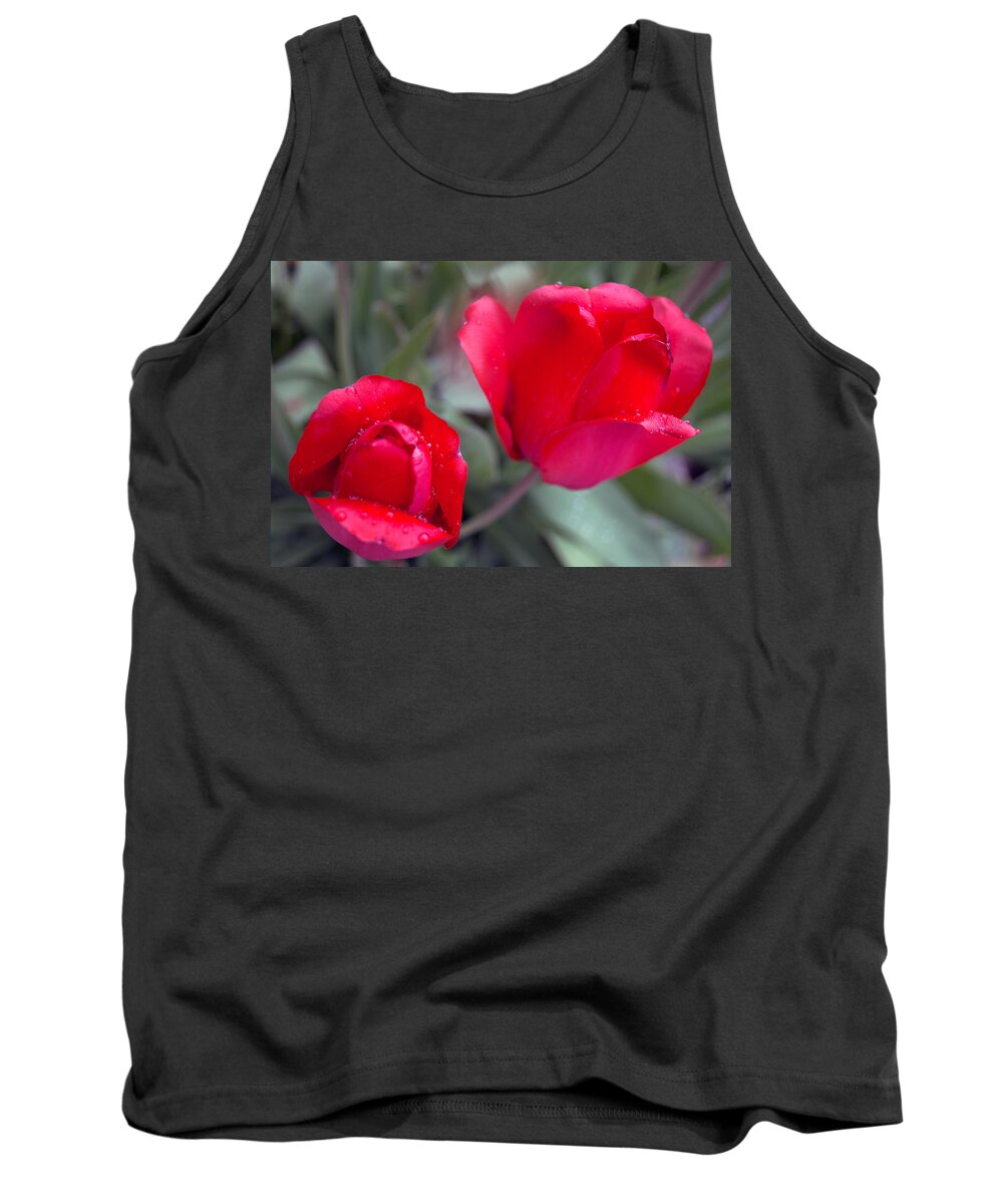 Tulips Tank Top featuring the photograph Early Blooms by James Meyer