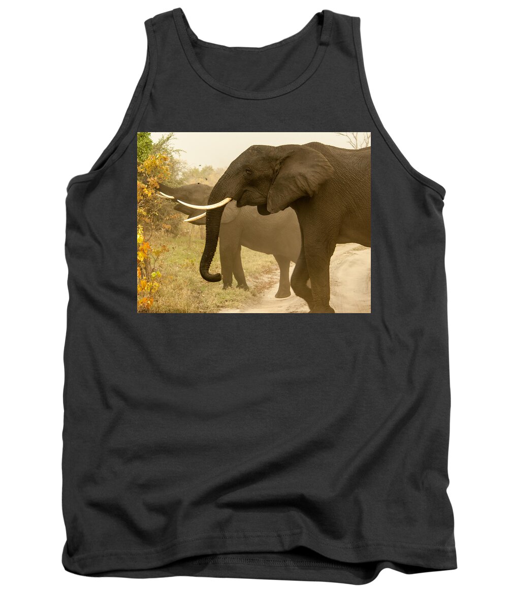 Africa Tank Top featuring the photograph Elephant shades by Alistair Lyne