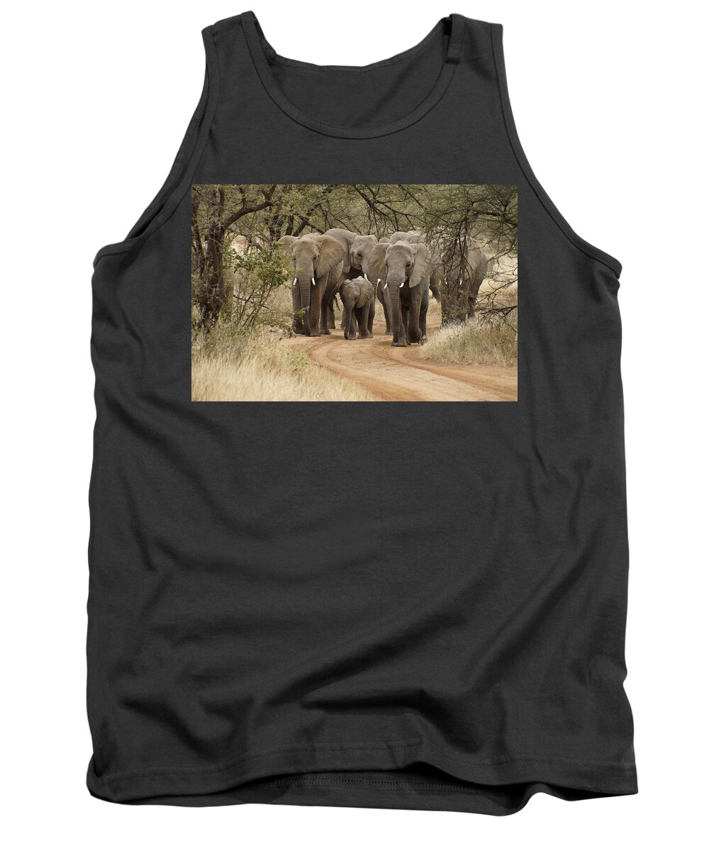 Africa Tank Top featuring the photograph Elephants Have the Right of Way by Michele Burgess