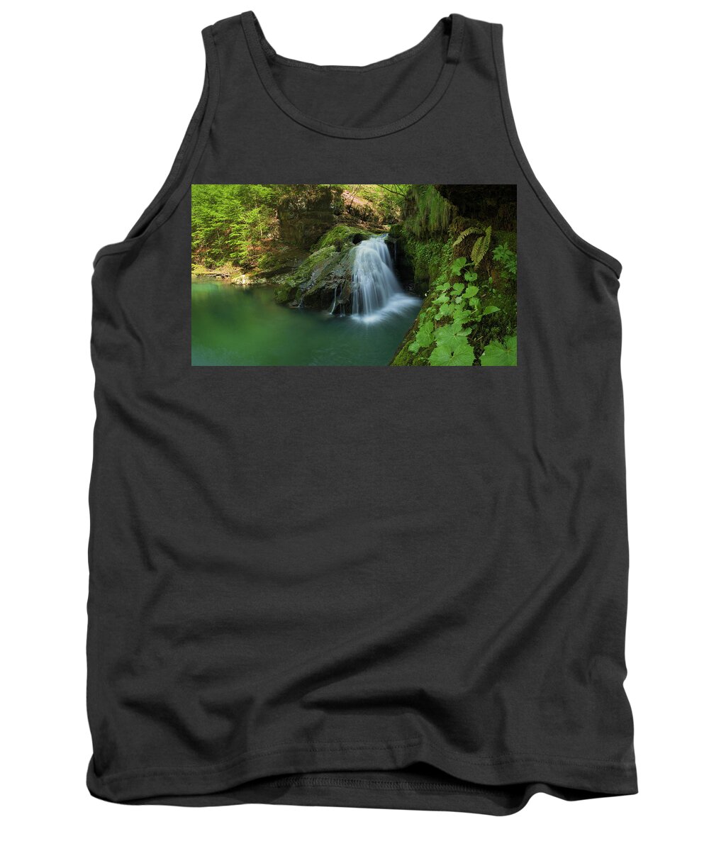 Landscapes Tank Top featuring the photograph Emerald waterfall by Davorin Mance