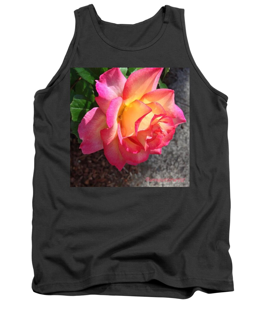 Evening Rose With Droplets Tank Top featuring the photograph Evening Rose With Droplets by Anna Porter