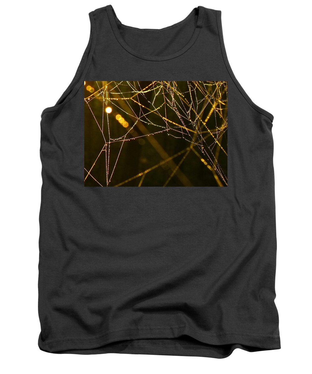 Spider Web Tank Top featuring the photograph Sunlit Dew on Spider Web by Lexi Heft
