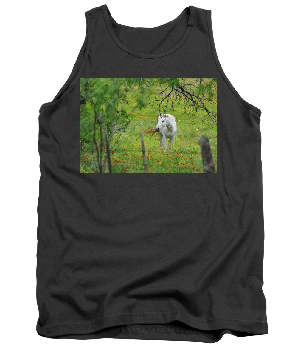 Wildflowers Tank Top featuring the photograph Eye on Beauty by Lynn Bauer