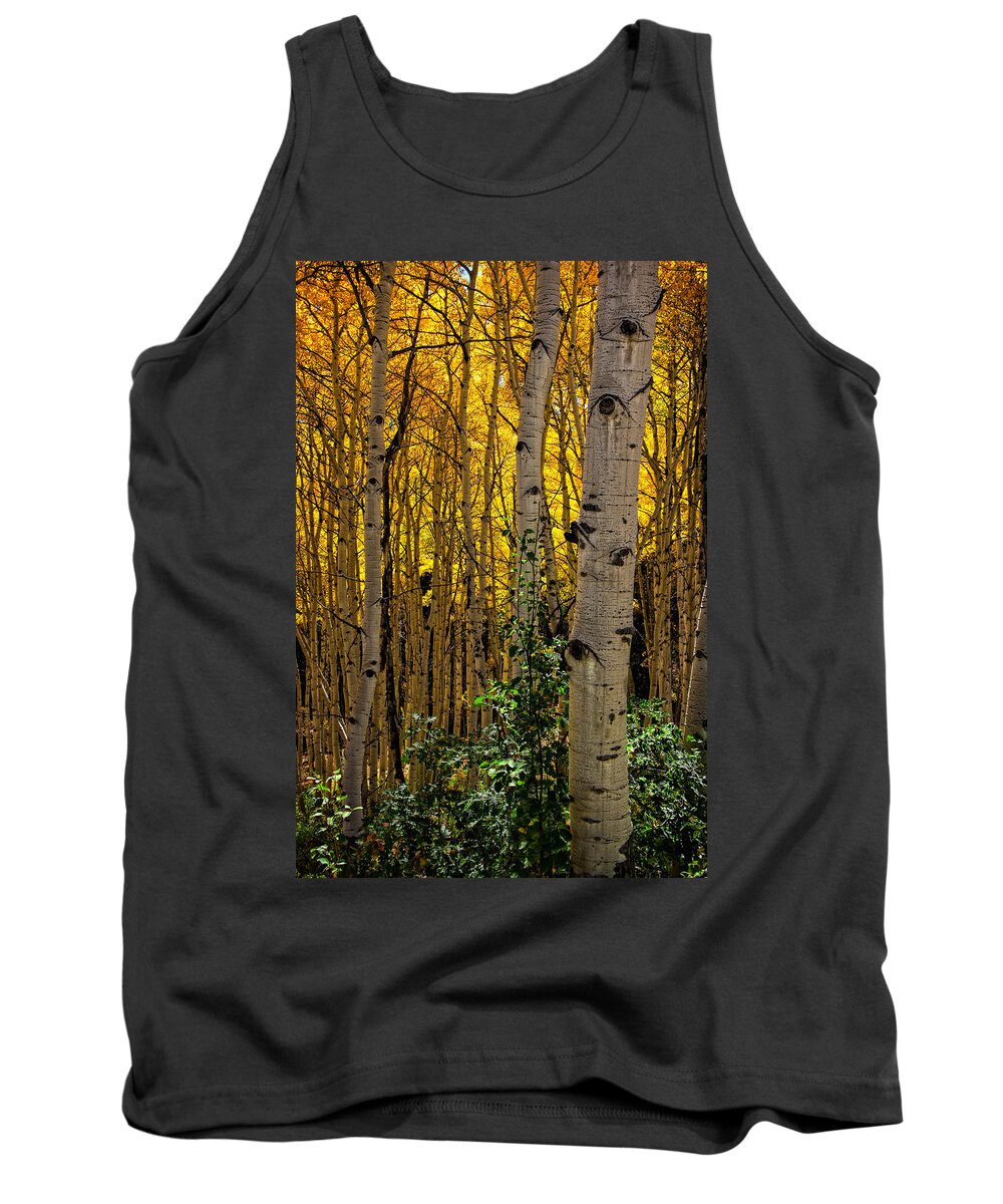 Colorado Tank Top featuring the photograph Eyes of the Forest by Ken Smith