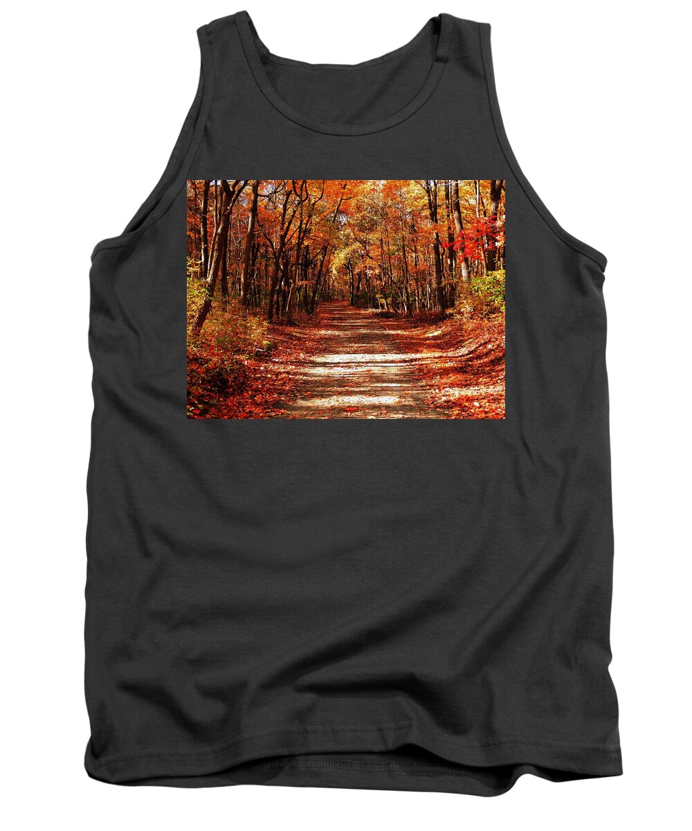 Fall Tank Top featuring the photograph Fall at Cheesequake by Raymond Salani III