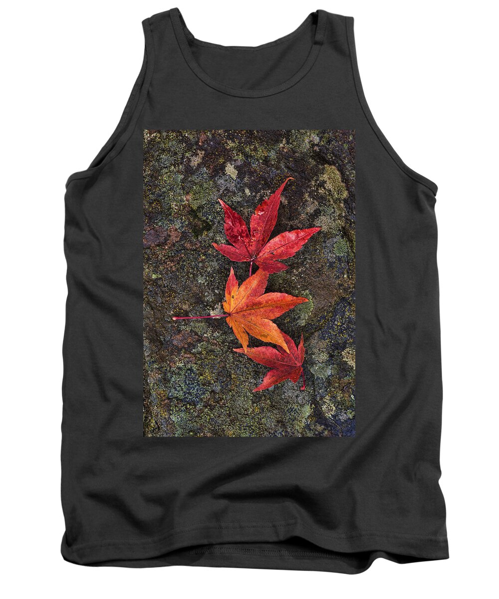 Red Tank Top featuring the photograph Fall Colors by Paul DeRocker