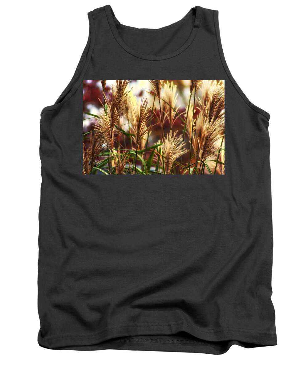 Plants Tank Top featuring the photograph Fall Fire. by Rob Dietrich